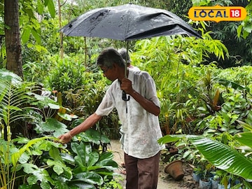 ছাতা