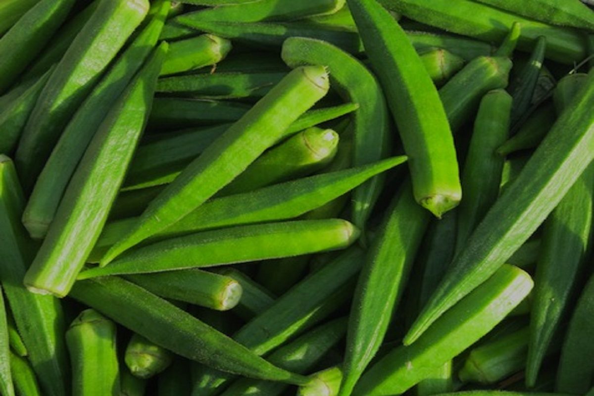 গুলাব জামুন ধোসার পর এবার ভাইরাল ঢেঁড়শের আইসক্রিম, কীভাবে বানাবেন? গুলাব জামুন ধোসার পর এবার ভাইরাল ঢেঁড়শের আইসক্রিম, কীভাবে বানাবেন?