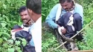 সাপটি মানুষটাকে ধীরে ধীরে জড়িয়ে ধরতে লাগল (Photo Credit: X)