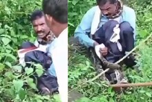 অজগর ও মানুষের রোমহর্ষক লড়াই, তারপর যা হল জানলে শিউরে উঠবেন