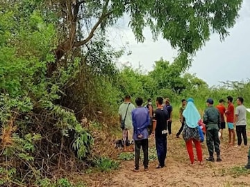 ফাইল ছবি