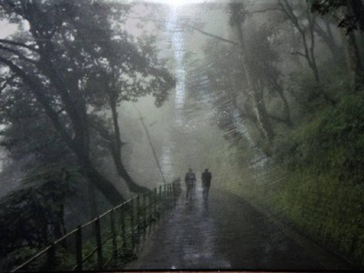 ডুয়ার্স : পরিষ্কার আকাশ। গত ২৪ ঘণ্টায় সর্বোচ্চ তাপমাত্রা ছিল ৩৭ ডিগ্রি সেলসিয়াস। সর্বনিম্ন তাপমাত্রা ২৫ ডিগ্রি সেলসিয়াস।