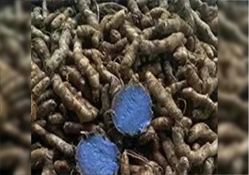 বাজারে কালো হলুদের দাম প্রায় পাঁচশো থেকে পাঁচ হাজার টাকা। ই-কমার্স ওয়েবসাইটে এর দাম প্রায় পাঁচ হাজার টাকা। এমতাবস্থায় কালো হলুদের চাষ কৃষকদের জন্য লাভজনক প্রমাণিত হতে পারে।