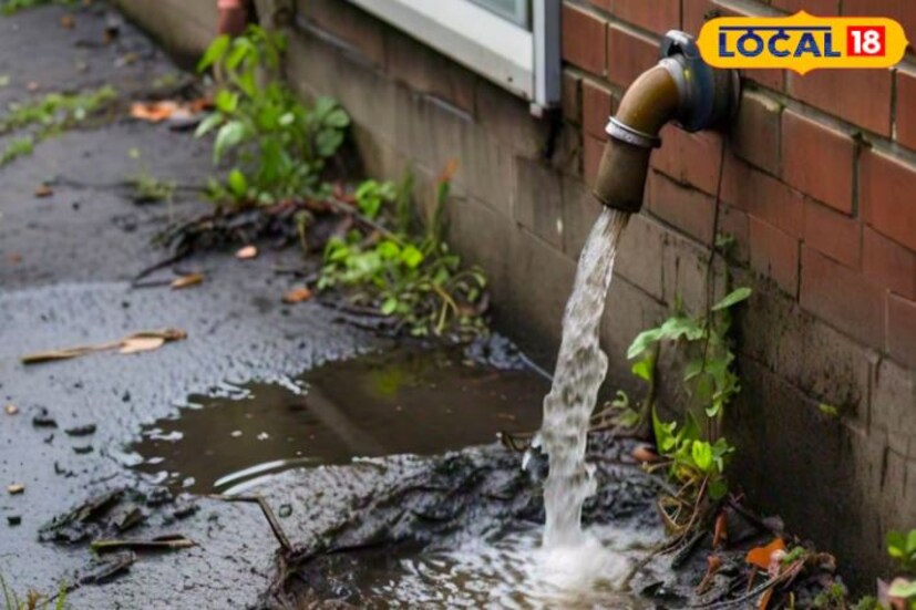 এই বিষয়ে সাবধান করেছেন বিশিষ্ট পুরোহিত ধীমান বন্দ্যোপাধ্যায়। তিনি বলছেন, জল অপচয় করলে জীবনে বিভিন্ন সমস্যা নেমে আসতে পারে।