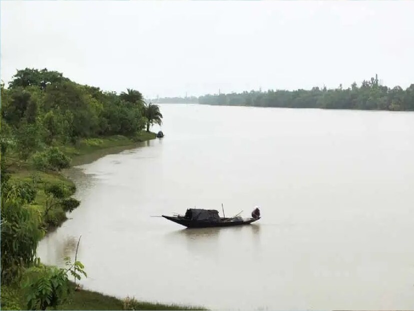 বেশ কয়েকদিন আগে একটি পর্যটকদের একদল লঞ্চ মাতলা ধরে পিয়ালির দিকে যাচ্ছিল। সে সময় পিকনিক স্পট লাগোয়া এলাকা থেকে বাঘের দেখা মেলে তাতে অত্যন্ত খুশি হয়ে যায় এই পর্যটকের দলগুলি। 
