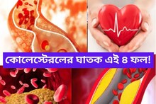 কোলেস্টেরলের ঘাতক এই ৪ ফল! প্রতিদিন খেলেই বাজিমাত, শরীর সুস্থ!