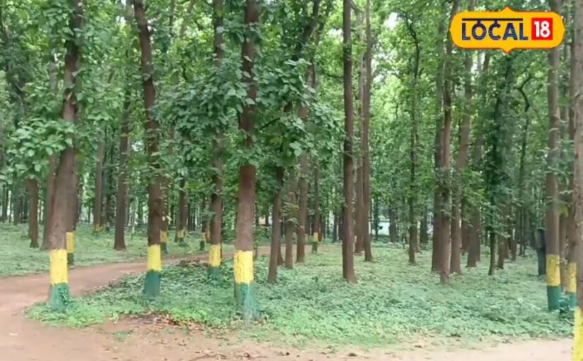 ঝাড়গ্রাম প্রকৃতি পর্যটন কেন্দ্রের ম্যানেজার অর্ণব বসু বলেন,&quot;পশ্চিমবঙ্গ সরকারের ফরেস্ট ডেভেলপমেন্ট কর্পোরেশন লিমিটেডের পক্ষ থেকে এই প্রকৃতি পর্যটন কেন্দ্রটি তৈরি করা হয়েছে। সম্পূর্ণ শাল জঙ্গলের মধ্যে রয়েছে এই কটেজটি। এখানে ছয়টি কটেজ রয়েছে। যেগুলি আপনি ফরেস্ট ডেভেলপমেন্ট কর্পোরেশন লিমিটেডের ওয়েবসাইটে গিয়েও বুকিং করতে পারেন এছাড়াও এখান থেকেও সরাসরি কটেজ বুকিং এর ব্যবস্থা রয়েছে &quot;।