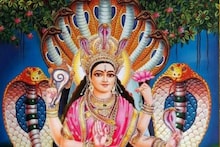 মা মনসার অপরূপ সাজ, ভক্তির সাগরে ভাসেন ভক্তরা, পুজোর আগেই এক ঝলক
