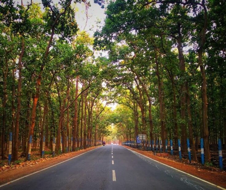 শাল জঙ্গলের মধ্যে রাত্রি যাপন করতে চাইছেন। ব্যালকনির দরজা খুললেই আপনি পৌঁছে যেতে পারেন গভীর অরণ্যে। যেখানে আপনি প্রকৃতিকে ছুঁয়ে দেখতে পারবেন। সবুজ শাল অরণ্যের গন্ধ ভরা বিশুদ্ধ বাতাসে নিজের মন ও শরীরকে মুহূর্তের মধ্যেই করে ফেলবেন তরতাজা।(বুদ্ধদেব বেরা)