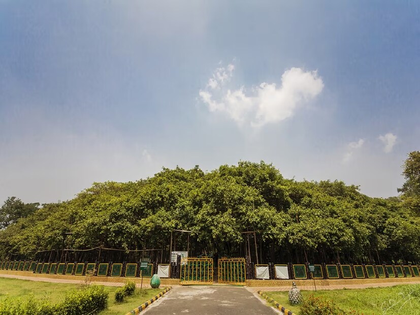 ১৭৮৭ সালে বাগানের সূচনা ৩১০ একর জমি নিয়ে। পরে ৪০ একর জমি যা কিড সাহেবের সম্পত্তি ছিল পরে তা দিয়ে দেওয়া হয় বিশপ’স কলেজকে। সে কলেজ আর নেই। সেই জমিতে এখন বেঙ্গল ইঞ্জিনিয়ারিং অ্যান্ড সায়েন্স ইউনিভার্সিটি। আঠারো শতকে বিশ্বের কোনও বাগান এমন বিশাল পরিধি নিয়ে জন্ম নেয়নি। এমনকি ১৮৪০ সালের আগে বিলেতের বিখ্যাত কিউ গার্ডেনস ছিল মাত্র এগারো একর জমি নিয়ে।
