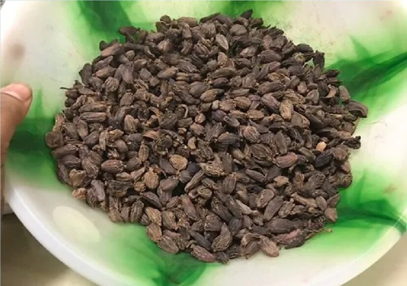 ভারতের আরও কয়েকটি গ্রামে বড় এলাচের চাষ হয়। তবে সবচেয়ে ভালোমানের এলাচ তাংতা এবং তোডে গ্রামেই মেলে। অনেকটা দার্জিলিং চায়ের মতো।