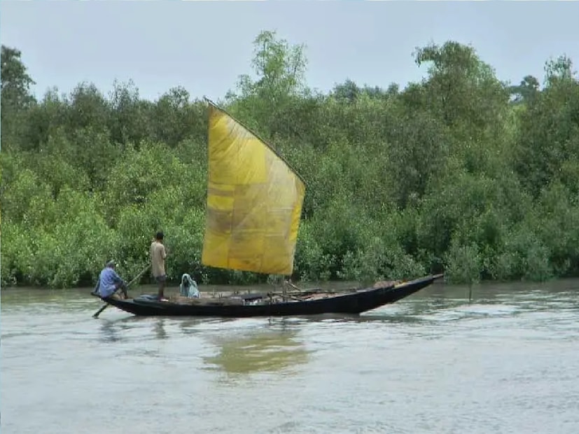 খরচ একদম নামমাত্র। শিয়ালদা থেকে দক্ষিণ বারাসত বা গোচরণ স্টেশনে ভাড়া মাত্র ১০ টাকা। তারপর অটো বা ট্র্রেকারে গেলে কুড়ি টাকার মধ্যেই আপনি পৌঁছে যেতে পারবেন। আর তাই সর্ব মূল্যে ৩০ টাকায় আপনি কলকাতা থেকে এই পিয়ালী দ্বীপে চলে আসতে পারবেন। 