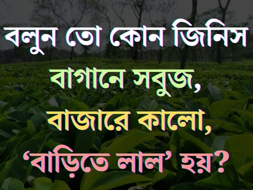 যেকোনও চাকরির পরীক্ষার একটি গুরুত্বপূর্ণ অংশ হল জেনারেল নলেজ। জিকে বা সাধারণ জ্ঞান সম্পর্কে ধারণা থাকা পরীক্ষায় পাশ করার জন‍্য খুবই গুরুত্বপূর্ণ।  
