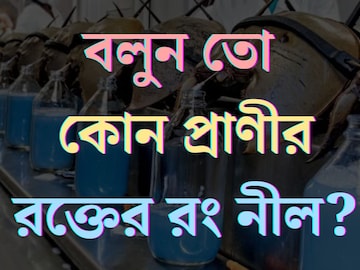 টকটকে লাল নয়, ঘন নীল! বলুন তো কোন প্রাণীর রক্তের রং নীল? এক লিটারের দামই ১০ লাখ