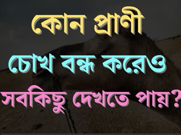 বলুন তো কোন প্রাণী চোখ বন্ধ করেও দিব‍্যি সব দেখতে পায়? চার পায়ে হাঁটে!