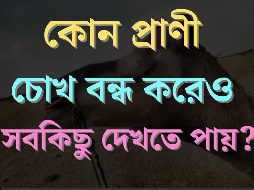 বিজ্ঞান এগিয়েছে বহুদূর। তবু আজও নানা অজানা রহস‍্যে মোড়া এই বিশ্বব্রহ্মাণ্ড। এখনও অংসখ‍্য প্রশ্নের উত্তর বিজ্ঞানীদেরও অজানা। প্রকৃতির সৃষ্টিরহস‍্য আজও আমাদের অবাক করে প্রতিনিয়ত। 