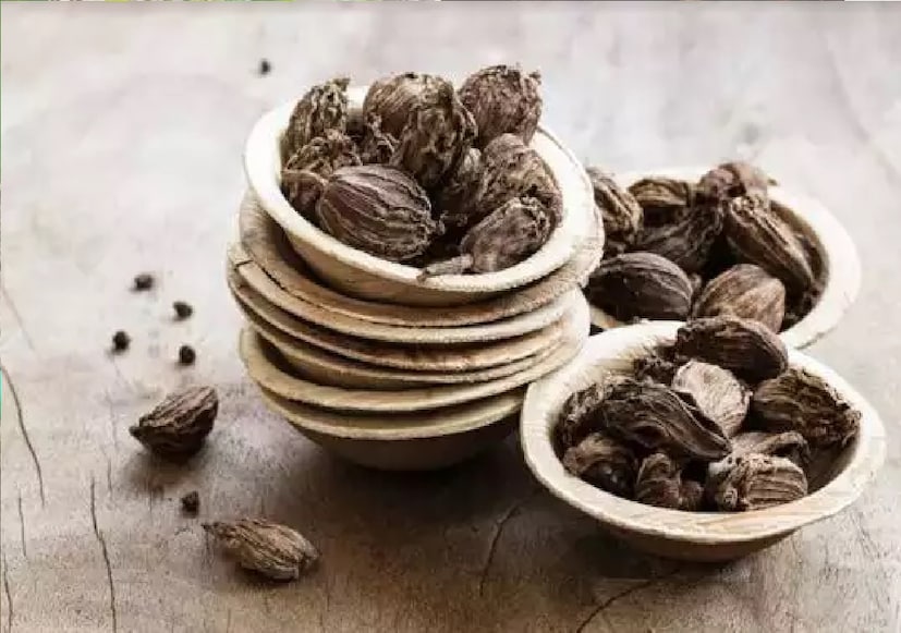 সবচেয়ে অবাক করা বিষয়টি হল, পৃথিবীর সবচেয়ে বড় আকারের এই এলাচ পাওয়া যায় ভারতে এবং তা হয় পশ্চিমবঙ্গে। 