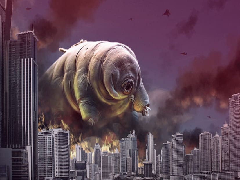 পৃথিবী থেকে মানুষ নিশ্চিহ্ন হয়ে যাওয়ার পরেও বেঁচে থাকবে হাফ মিলিমিটারের একটা প্রাণী। সূর্য মরা না পর্যন্ত মরবে না এই প্রাণীটি। ৩০ বছর খাবার ও জল ছাড়া দিব্যি বাঁচতে পারে এই প্রাণীটি। পৃথিবী থেকে মানুষ নিশ্চিহ্ন হয়ে যাওয়ার পরেও বেঁচে থাকবে হাফ মিলিমিটারের একটা প্রাণী। সূর্য মরা না পর্যন্ত মরবে না এই প্রাণীটি। ৩০ বছর খাবার ও জল ছাড়া দিব্যি বাঁচতে পারে এই প্রাণীটি।