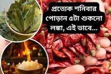 প্রত্যেক শনিবার...৫টা শুকনো লঙ্কা আর তেজপাতা, এই কাজ করলে হাতেনাতে পাবেন ফল