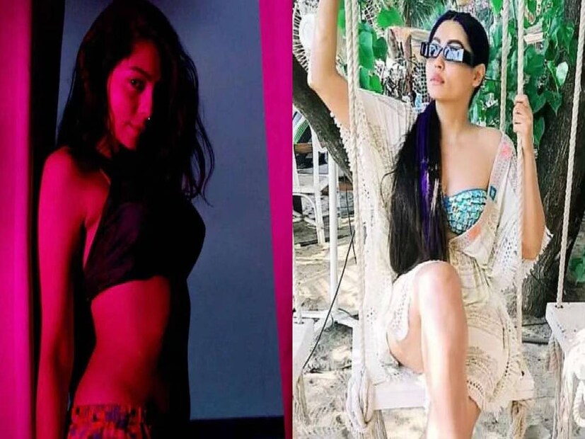 সুধীর মিশ্রের ‘খোয়া খোয়া চাঁদ’ ছবিতে শিশুশিল্পী হিসেবে আত্মপ্রকাশ অনংশা বিশ্বাসের। তখন তাঁর বয়স ১৭ বছর। এরপর পরিণত বয়সে রামগোপাল ভর্মার ‘রণ’ অথবা ‘অন্ধেরি’র মতো ছবিতে সুযোগ পান।