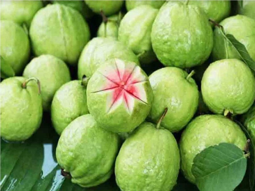 পুষ্টিবিদ অঞ্জলি মুখোপাধ্যায় ইনস্টাগ্রামে একটি পোস্টে জানান, &quot;পেয়ারা খাওয়ার সঠিক সময় হল লাঞ্চ বা দুপুরের খাবার খাওয়ার ১ ঘণ্টা আগে। ব্রেকফাস্ট বা জলখাবার খাওয়ার আধ ঘণ্টা পরও খাওয়া যেতে পারে। তবে, রাতে একেবারেই পেয়ারা খাবেন না। ঠান্ডা লাগা থেকে শুরু করে জ্বরও আসতে পারে।