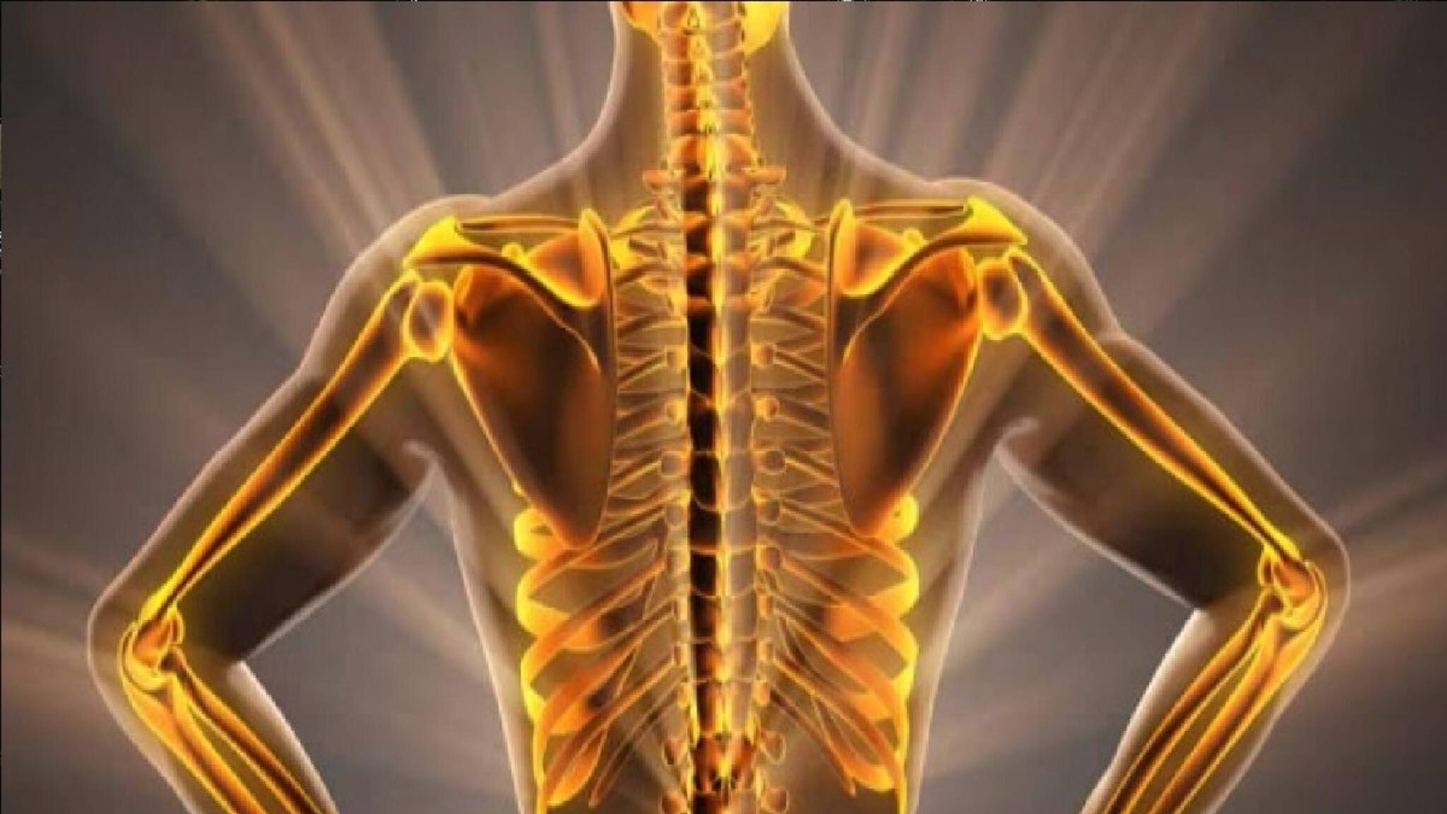 লোহার মতো শক্ত হাড়! অত্যন্ত সুস্বাদু এই খাবার হাড়ের জন্য বেস্ট, বেশি খেলে বিপদ