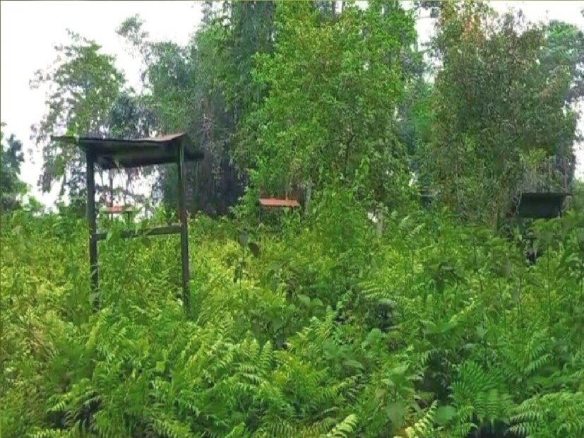 *বলাই বাহুল্য, এখানে এলেই পর্যটকেরা মন মাতানো প্রাকৃতিক সৌন্দর্যের পাশাপাশি রোমাঞ্চকর অনুভূতির এক অনন্য সংমিশ্রণ অনুভূতি অনুভব করতেন। কিন্তু, রক্ষণাবেক্ষণের অভাবে ক্রমশই প্রশ্নচিহ্নের মুখে পড়ে যায় পর্যটকদের অত্যন্ত জনপ্রিয় টুরিস্ট স্পট রামসাই প্রজাপতি পার্ক। ফাইল ছবি। 