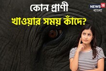 বলুন তো, কোন প্রাণী খাওয়ার সময় কাঁদে? চোখের জল ঝরার কারণ কী! জেনে নিন
