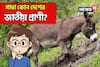 বলুন তো, কোন দেশের জাতীয় প্রাণী গাধা? উত্তর দিতে পারবে আপনি জিনিয়াস