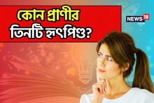 বলুন তো, কোন প্রাণীর রয়েছে ৩টি হার্ট? উত্তর দিতে পারলে আপনি জিনিয়াস
