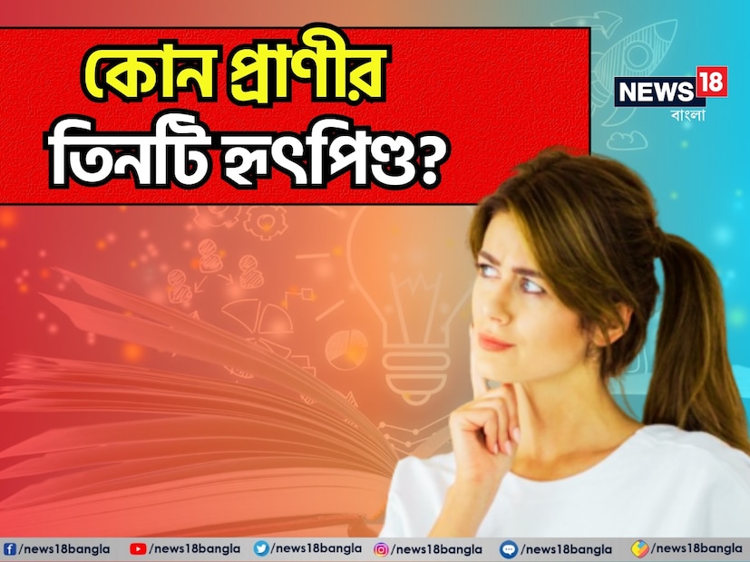 তবে আজ এই প্রতিবেদনে এমন একটি প্রশ্নটি নিয়ে আমরা হাজির হয়েছি যার উত্তর দিতে গিয়ে ভুল করে থাকেন। বলুন তো, পৃথিবীতে কোন প্রাণীর ৩টি হার্ট রয়েছে? 