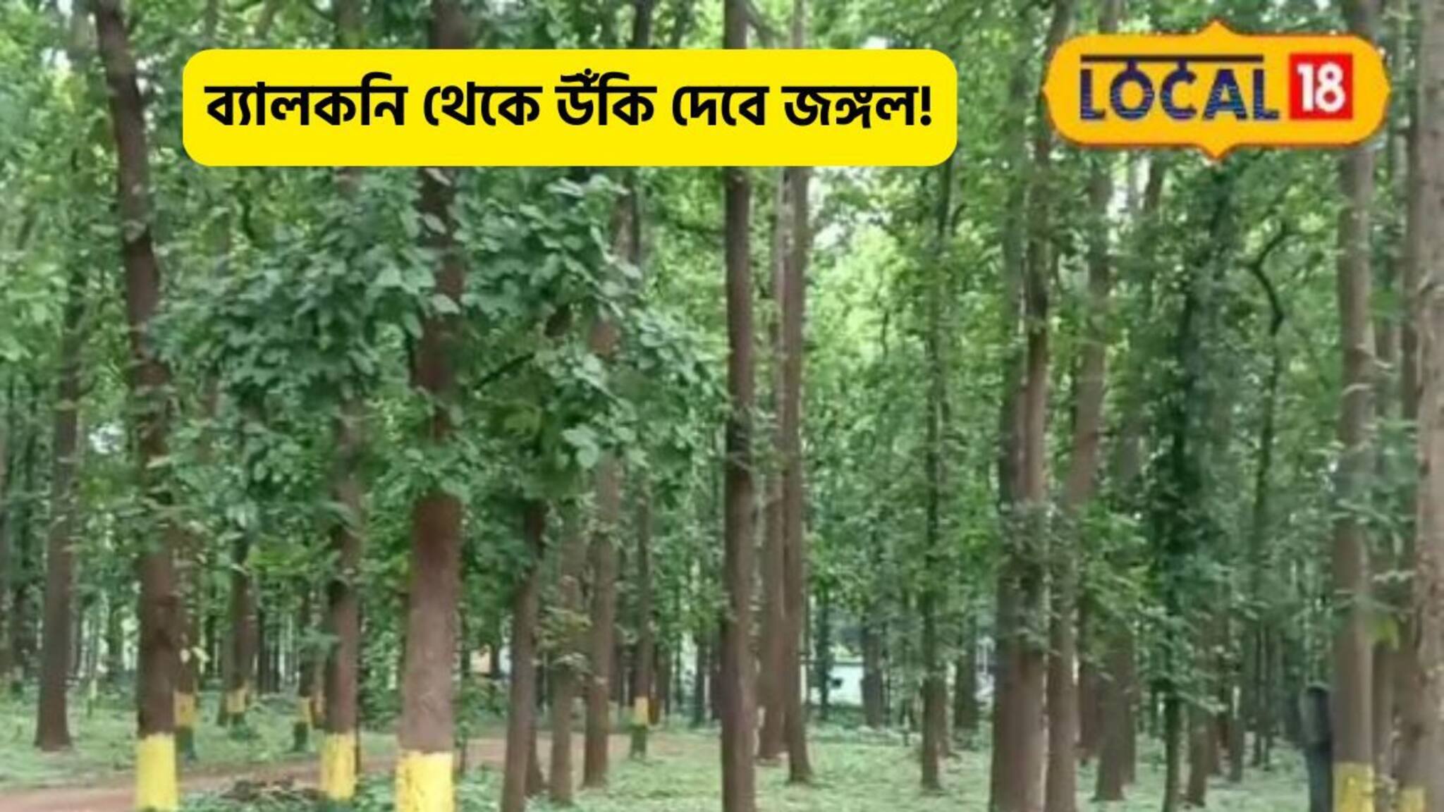 Bengal Tourism: ব্যালকনির দরজা খুললেই গভীর অরণ্যে! জঙ্গলে রাত কাটানোর ইচ্ছা? চলে আসুন এই ঠিকানায়!