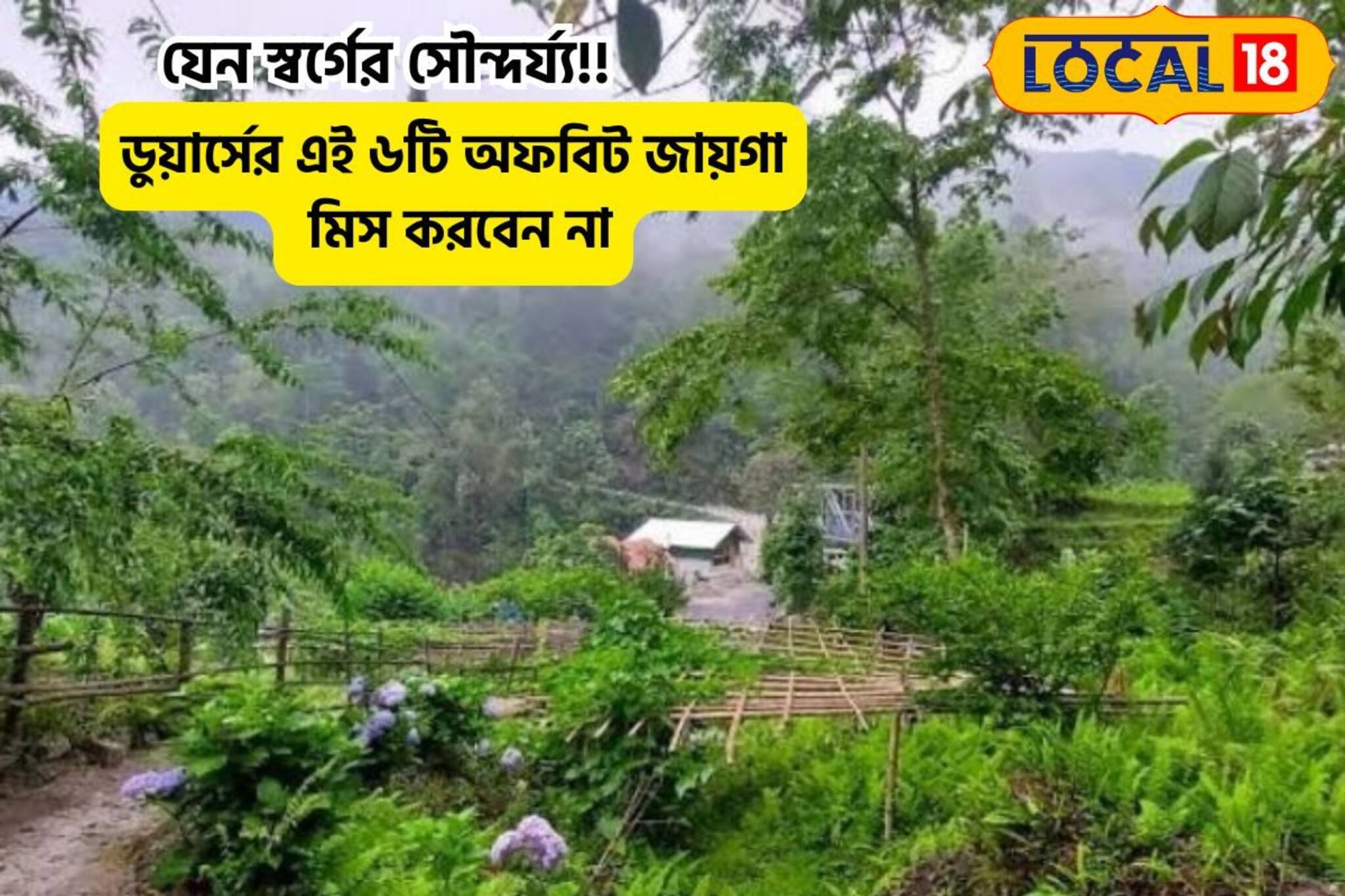 যেন স্বর্গের সৌন্দর্য!ডুয়ার্সের এই ৬টি জায়গা মিস নয়,মন জুড়ানো পাহাড়ি নীরবতা