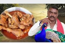চিকেন-মাটন ছেড়ে ময়ূরের মাংস রাঁধলেন ইউটিউবার, তারপরই ঘটল ভয়ঙ্কর কাণ্ড!