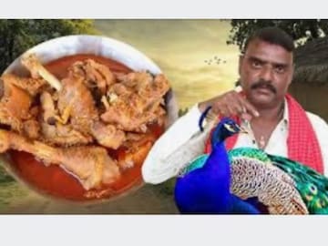 চিকেন-মাটন ছেড়ে ময়ূরের মাংস রাঁধলেন ইউটিউবার