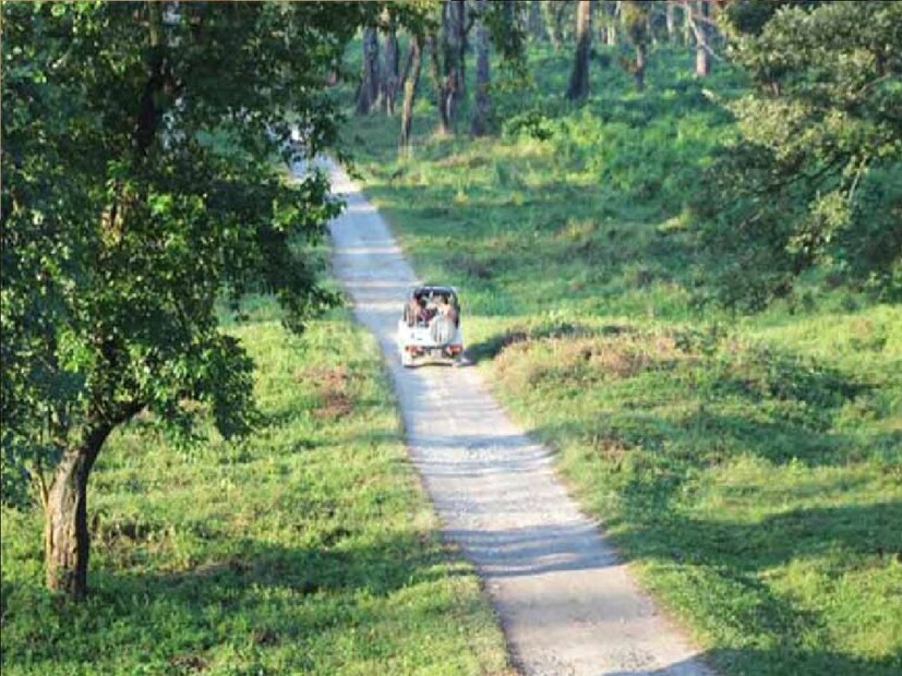 *গরুমারা বন্যপ্রাণ বিভাগের বনাধিকারিক দ্বিজপ্রতিম সেন এ বিষয়ে জানান, পর্যটকদের চাহিদার কথা মাথায় রেখে হাতির সংখ্যা বাড়ানো হচ্ছে। হাতি সাফারিতে যুক্ত করা হচ্ছে আরও দুটো প্রশিক্ষণপ্রাপ্ত হাতিকে। এতে হাতি সাফারিতে পর্যটকদের আসন সংখ্যা ১২ থেকে বেড়ে হবে ২৪, এমনটাই জানান বনাধিকারিক। সংগৃহীত ছবি। 