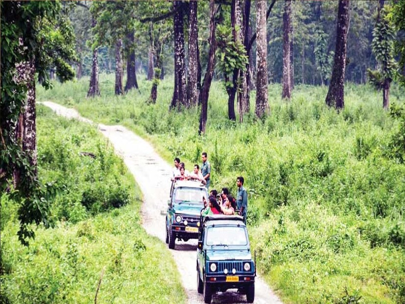 *করোনার সময়ে বছর দু'য়েক বন্ধ ছিল হাতি সাফারি। এরপর পরিস্থিতি স্বাভাবিক হলে ফের শুরু করা হয় দু'টো হাতি দিয়ে হাতি সাফারি। কিন্তু, সেখানেও সমস্যা! হাতির পিঠে চড়ে জঙ্গল ঘোরার চাহিদা পর্যটকদের ব্যাপক। সেই চাহিদার সঙ্গে তাল মেলাতে গিয়ে পর্যটকদের সামাল দিতে হিমশিম খেতে হচ্ছিল গরুমারা বন্যপ্রাণ বিভাগের কর্মীদের। এবার সে সব কথা মাথায় রেখে বাড়ানো হয়েছে হাতির সংখ্যা। সংগৃহীত ছবি। 