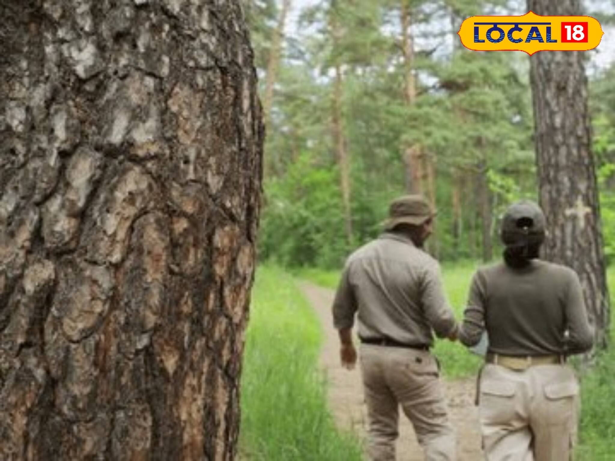 আধুনিক প্রযুক্তির অভাবে ভুগছে বাংলার ফরেস্ট রেঞ্জাররা, বাড়ছে জীবনের ঝুঁকি