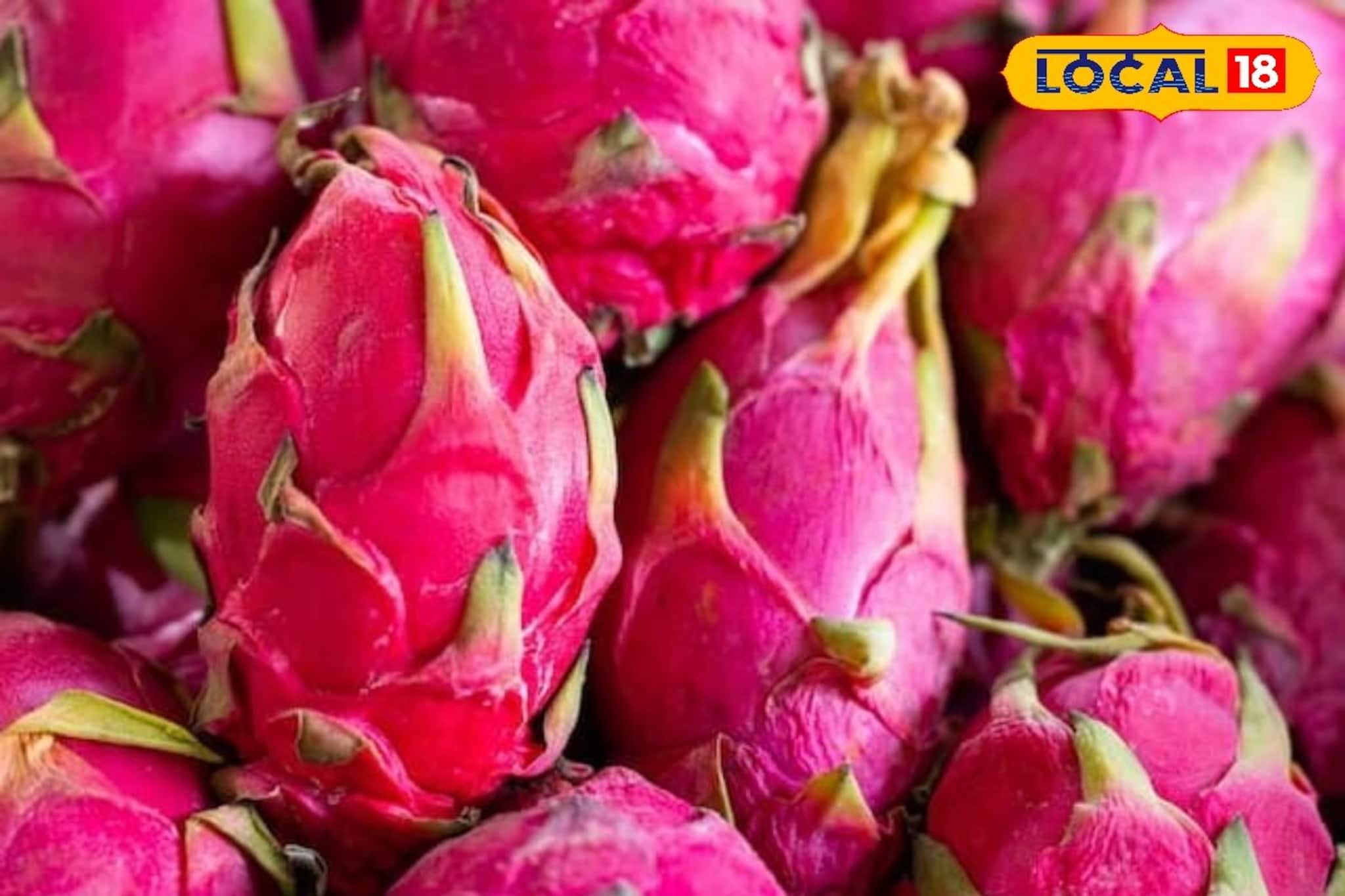 পথ দেখাচ্ছে মাড়গ্রাম, আর নয় চেনা ফলের চাষ, ড্রাগন ফল চাষেই চাষিদের রমরমা