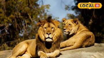 সংগৃহীত