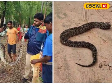 পাইথন উদ্ধার বনদফতরের 