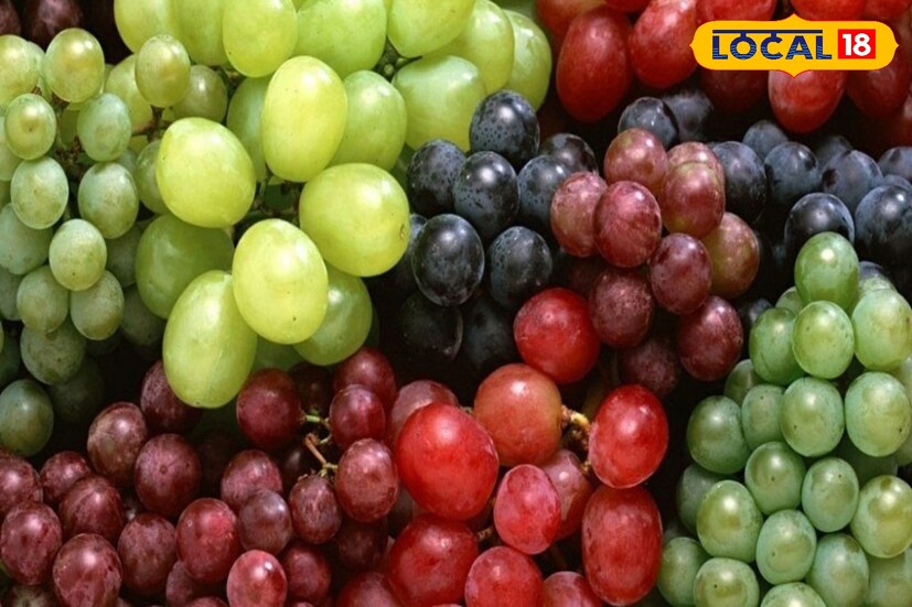 অতিরিক্ত ওজন কমাতে নিয়মিত আঙুর খেতে পারেন। আঙুরে থাকা অ্যান্টিঅক্সিড্যান্ট শরীর থেকে অপ্রয়োজনীয় টক্সিন সরিয়ে ওজন কমায়। 