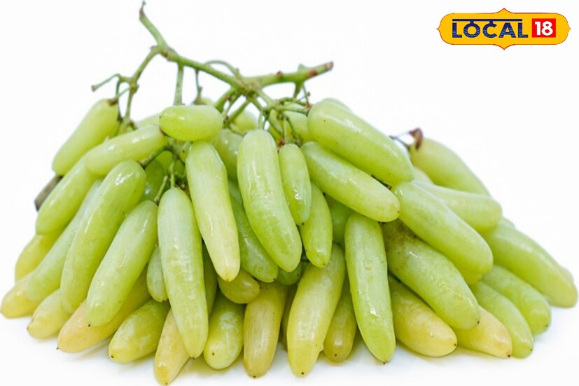 আঙুরে থাকা একাধিক যৌগের ক্যান্সার-বিরোধী বৈশিষ্ট্য। গবেষণায় দেখা গিয়েছে, আঙুর টিউমার বৃদ্ধিতে বাধা দেয় 