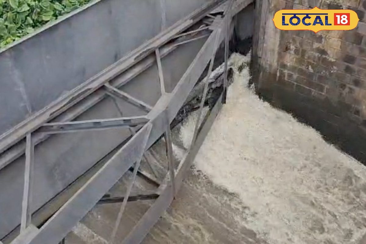 এক কিউসেক মানে কতটা জল? বর্ষা এলেই লাখ লাখ ‘কিউসেক’ জল ছাড়ে ডিভিসি! এক কিউসেক মানে কতটা জল? বর্ষা এলেই লাখ লাখ ‘কিউসেক’ জল ছাড়ে ডিভিসি!