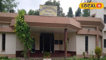 মিউজিয়াম