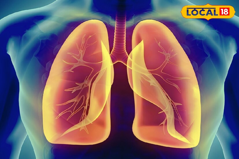 বর্তমানে বায়ু দূষণ এবং ধূমপানের অভ্যাসের কারণে এই অঙ্গের বারোটা বাজছে প্রতিনিয়ত। শরীরের ক্ষতি করছে অ্যাজমা, সিওপিডি থেকে শুরু করে একাধিক গুরুতর রোগ।