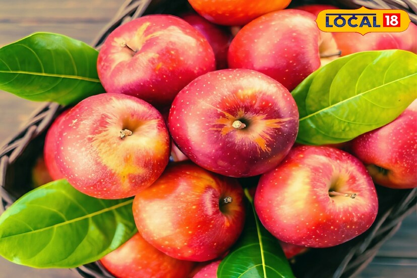 আপেলে রয়েছে অত্যন্ত উপকারী সব ভিটামিন, খনিজ এবং অ্যান্টি-অক্সিড্যান্ট। এতে থাকা কুয়েরসেটিন নামক অ্যান্টি-অক্সিড্যান্ট ফুসফুসের কার্যক্ষমতা বাড়িয়ে তোলে।