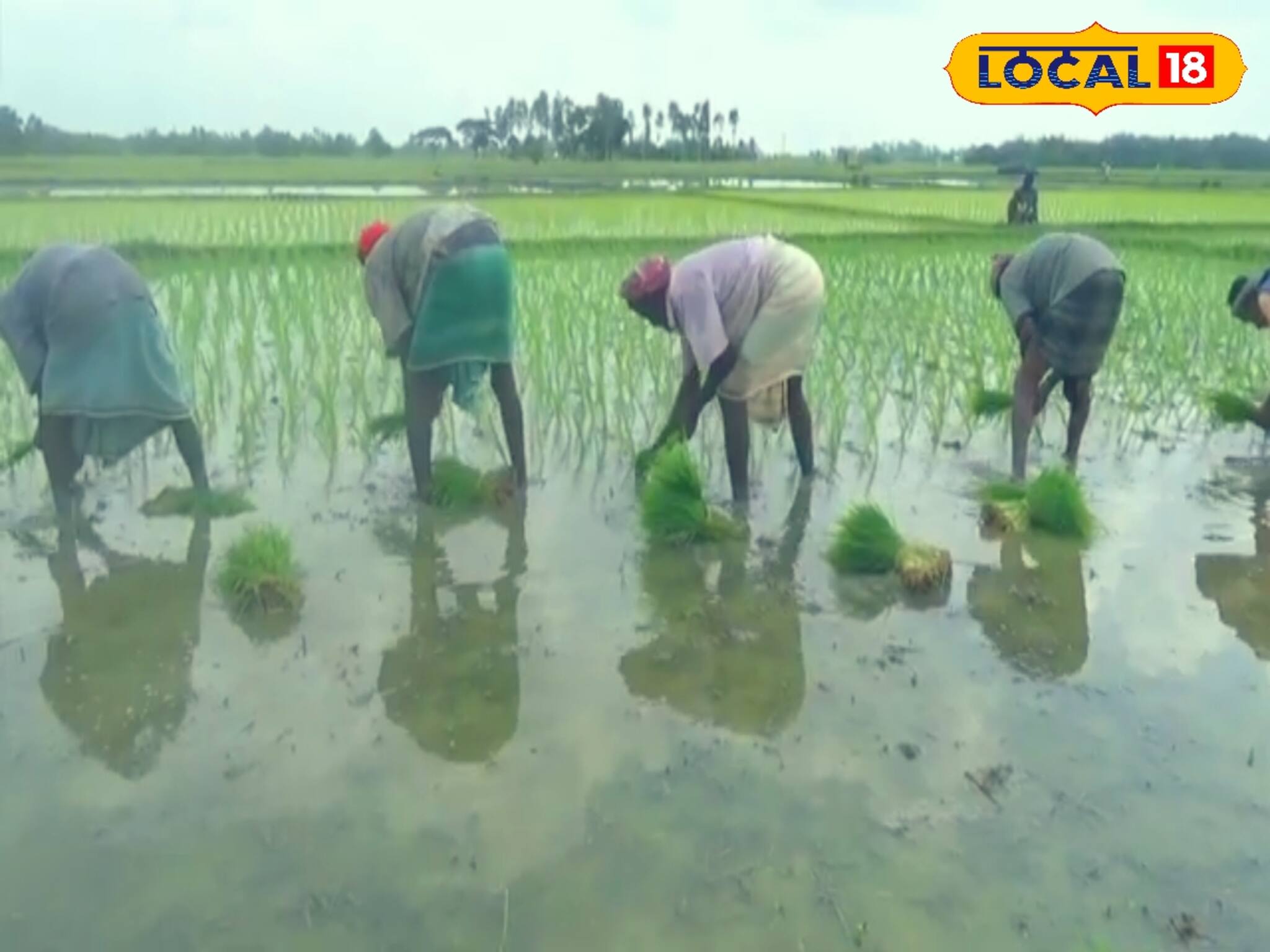কৃষকদের জন্য বিরাট সুখবর! ১ টাকাও খরচ হবে না কারও, করে ফেলুন এই বিমা