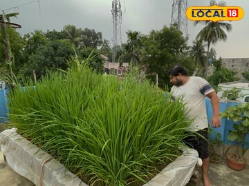 বাড়ির
