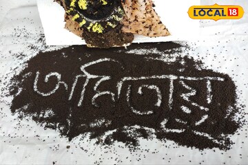 তুলি মুখে নিয়ে এ কী করে ফেললেন শিল্পী? বাঁকুড়ায় 'বাঁধনহারা' শিল্পে অবাক বাংলা!